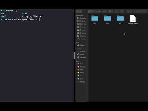 moving file into directory using mv command