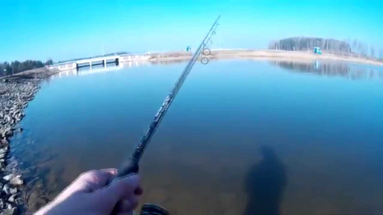 Мартовский спиннинг на Заславском водохранилище (Минское море)