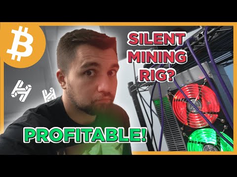 This Crypto Mining Rig Is QUIET And PROFITABLE?!