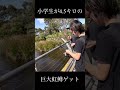 小学生が67センチの特大ニジマスを釣り上げる！ #釣り #fishing
