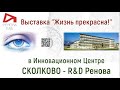 #200 Презентация выставки для Сколково