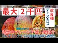 国内最大級のディスカス在庫量！！ピザサイズの巨大な改良種ディスカスがマレーシア便で入荷。コンテストクラスの超極美個体群も大量集結。140匹以上を一挙紹介。熱帯魚アクアリウム水槽で繁殖副業ブリーダー