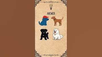 Intuition test share your results in the comment #intuitioncheck #testdeintucion#test #quiz