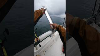 Sea Fishing Adventure: Catching a Massive Sword-Like Ribbonfish! 🌊🎣 | #HookFishingLife #Shorts