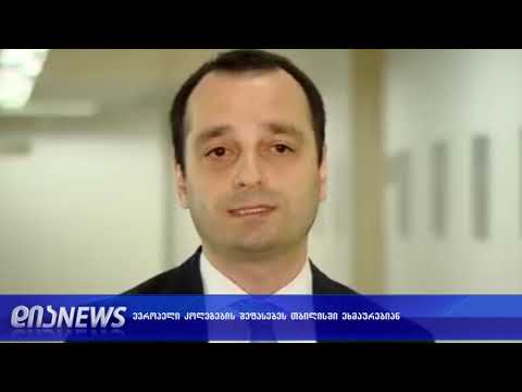 ევროპარლამენტარების გამოსვლებს ოპოზიცია აფასებს 14.11.2018