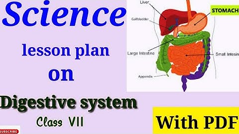 Lesson plan for teachers| lessonplan on digestive system |lesson plan science |biology lesson plan |