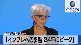 「インフレへの影響 24年にピーク」　ＥＣＢの利上げ【モーサテ】（2023年5月16日）