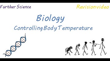 B3: Controlling Body Temperature (Revision)