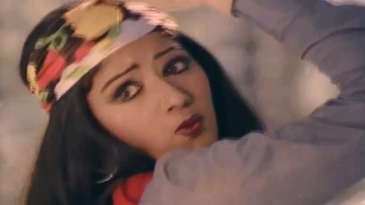 Rowdy Ramudu Konte Krishnudu Movie || Seethakalam Vachhindi Video Song || NTR, Sri Devi