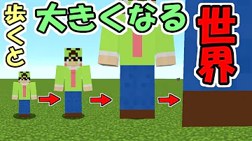 マインクラフト日を数えるコマンド