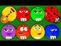 6 Minutes Satisfying with Top Unboxing Funny Boxes with Colorful M&M'S and Tasty Munz Candy ASMR