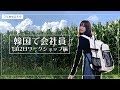 韓国で会社員/ワークショップで江原道に行った日VLOG①【韓国生活】한국에서 일하는 일본인 브이로그/워크샵/강원도