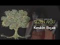 Sezen Aksu Keskin Bıçak Türkiye Şarkıları The Songs Of Turkey Live