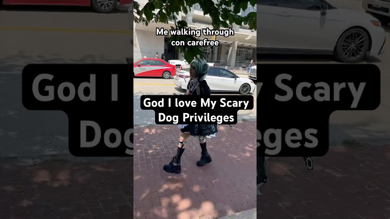 Scary Dog Privilege is so good 😊 #zzz #zenlesszonezero #cosplay #hoyoverse #otakon