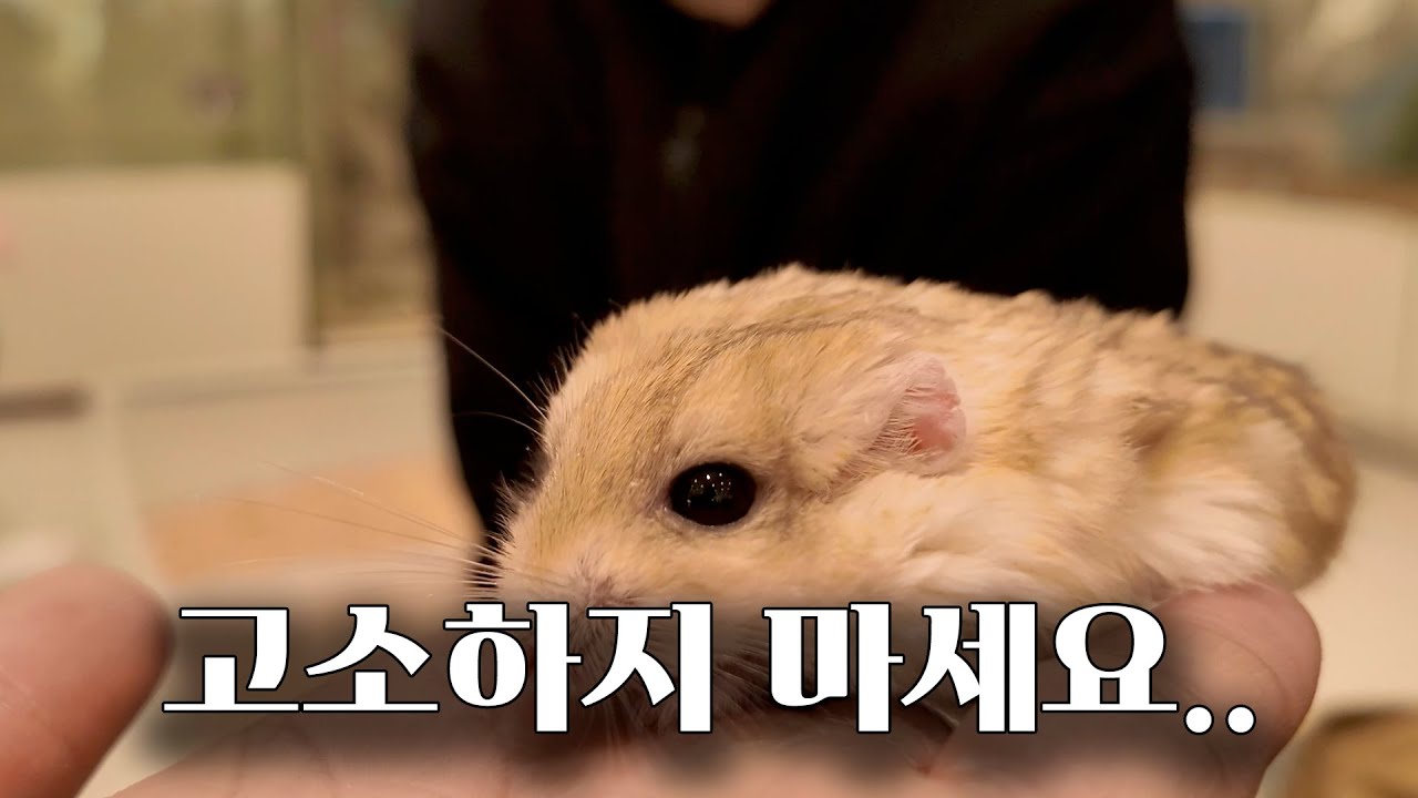 죽였다~살렸다~죽였다~살렸다~_부산 실내 동물원