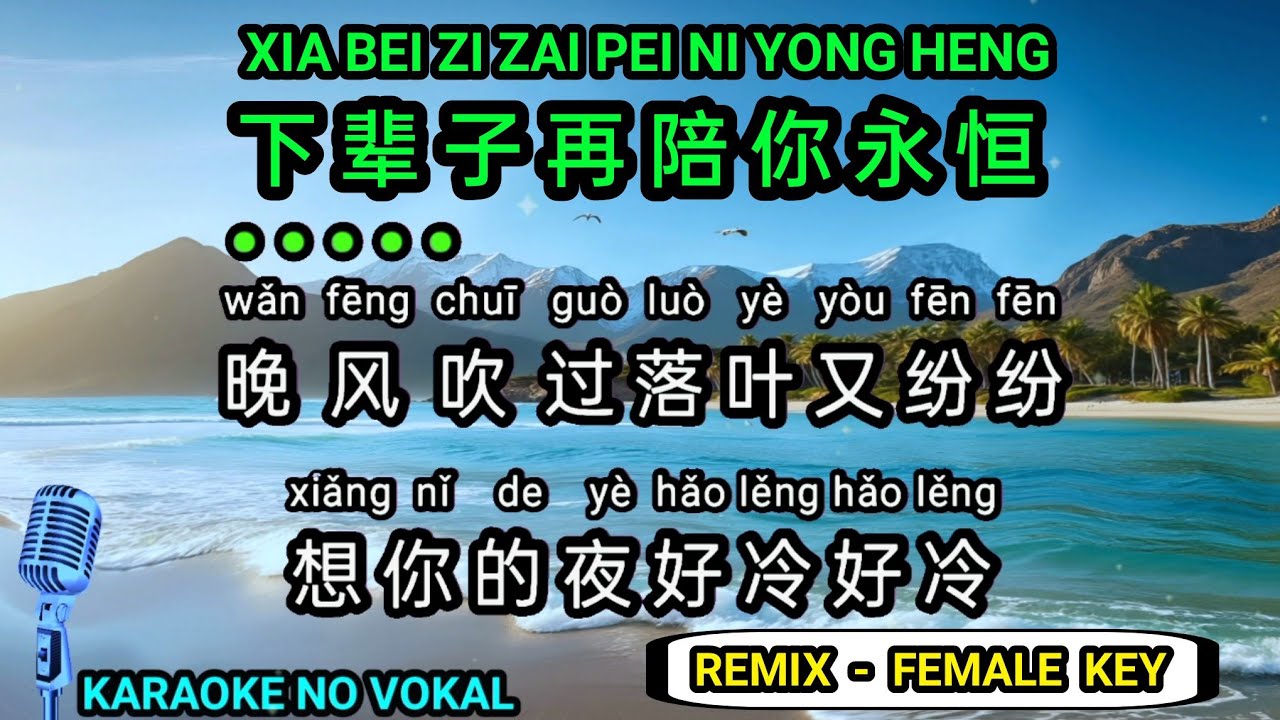 Xia bei zi zai pei ni yong heng 下辈子再陪你永恒 - Female - karaoke no vokal ( REMIX )  ( pinyin + 中文 )