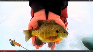 Late Ice Panfish Movements - In-Depth Outdoors TV - Season 6, Episode 1