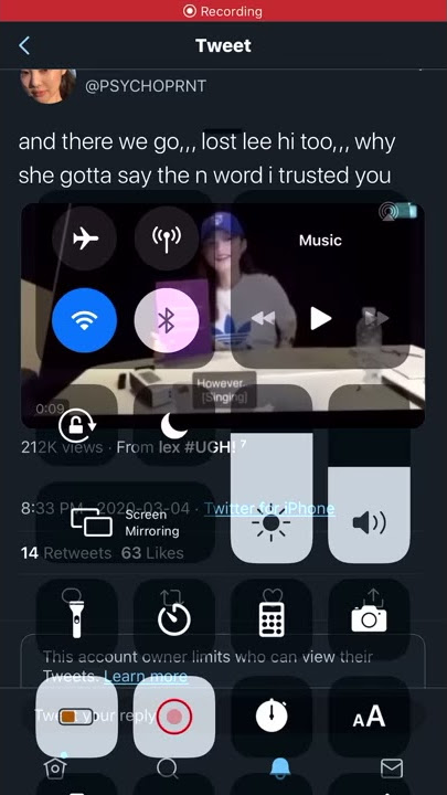 Lee Hi (이 하이) says the n-word In livestream