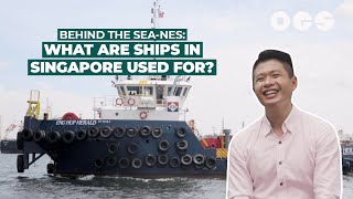 Behind the Sea-nes: What Are Ships in Singapore Used For?