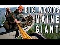 A MAINE GIANT IN THE BIG WOODS | Rifle Hunting