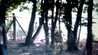 Deutscher Jagdterrir Odo Piškorevački Trening Na Divlju Svinju