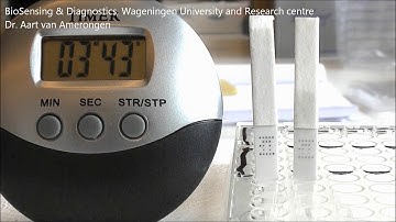 Multiplex Lateral Flow Assay || Assay Development ||  Multiplexing ||  Microarrays