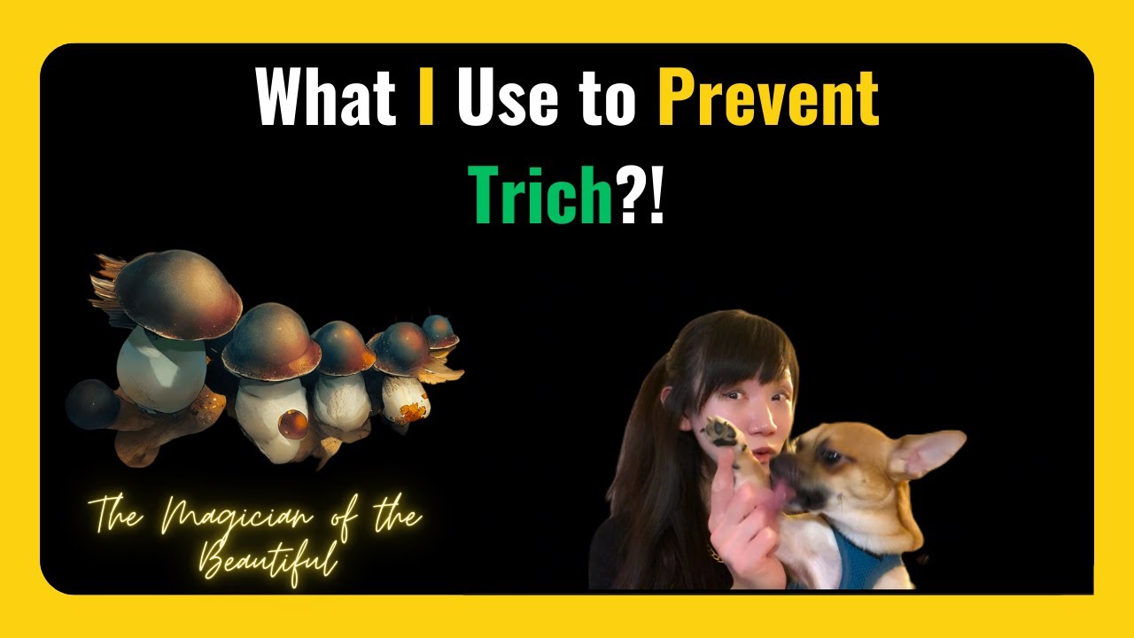 What I Use to Prevent Trich! | Mushroom Growing | Contamination