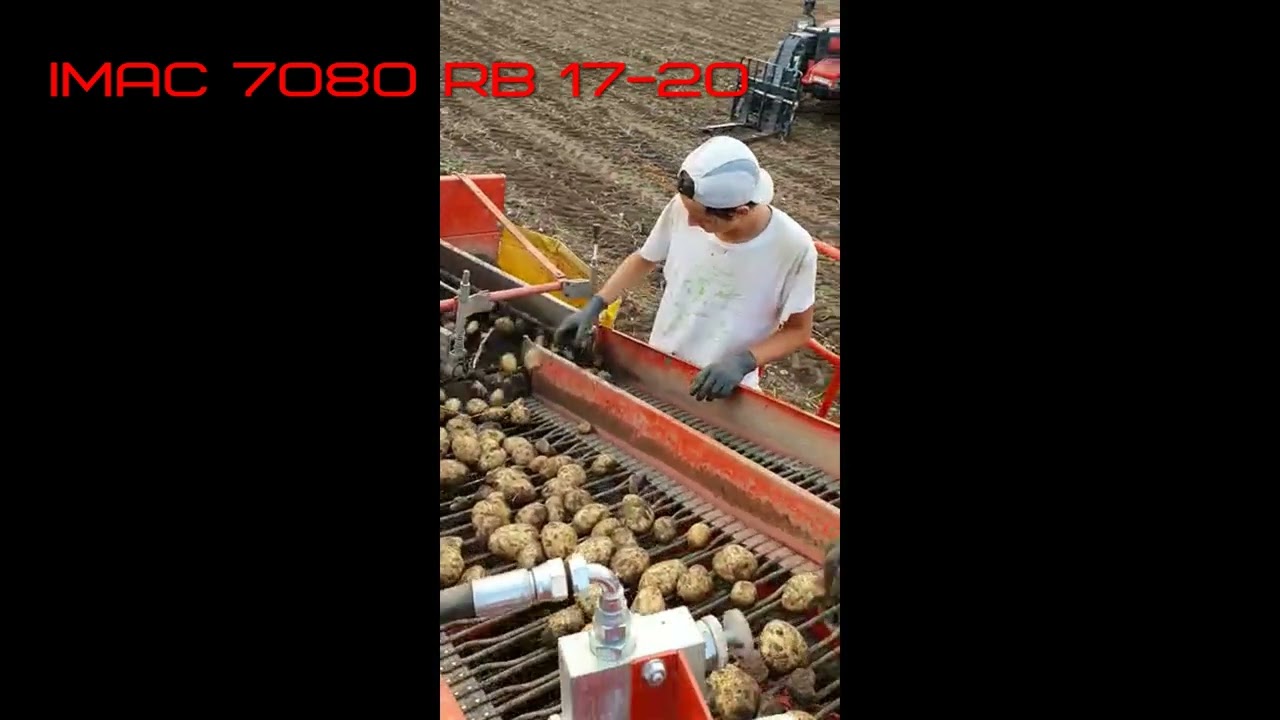 Potato harvester 1 row IMAC mod. 7080RB 17 - 20