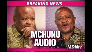 THE MCHUNU CALLS | WITNESS E TESTIFIES AT COMMISSION