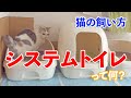 【猫の飼い方】システムトイレって何？デオトイレのご紹介