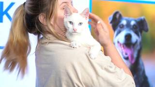 Pick of the Litter: Meet Pooh Bear!