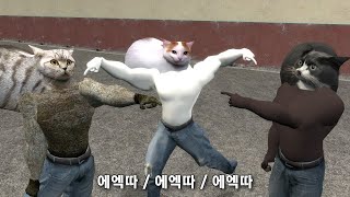 넌 누구야 3