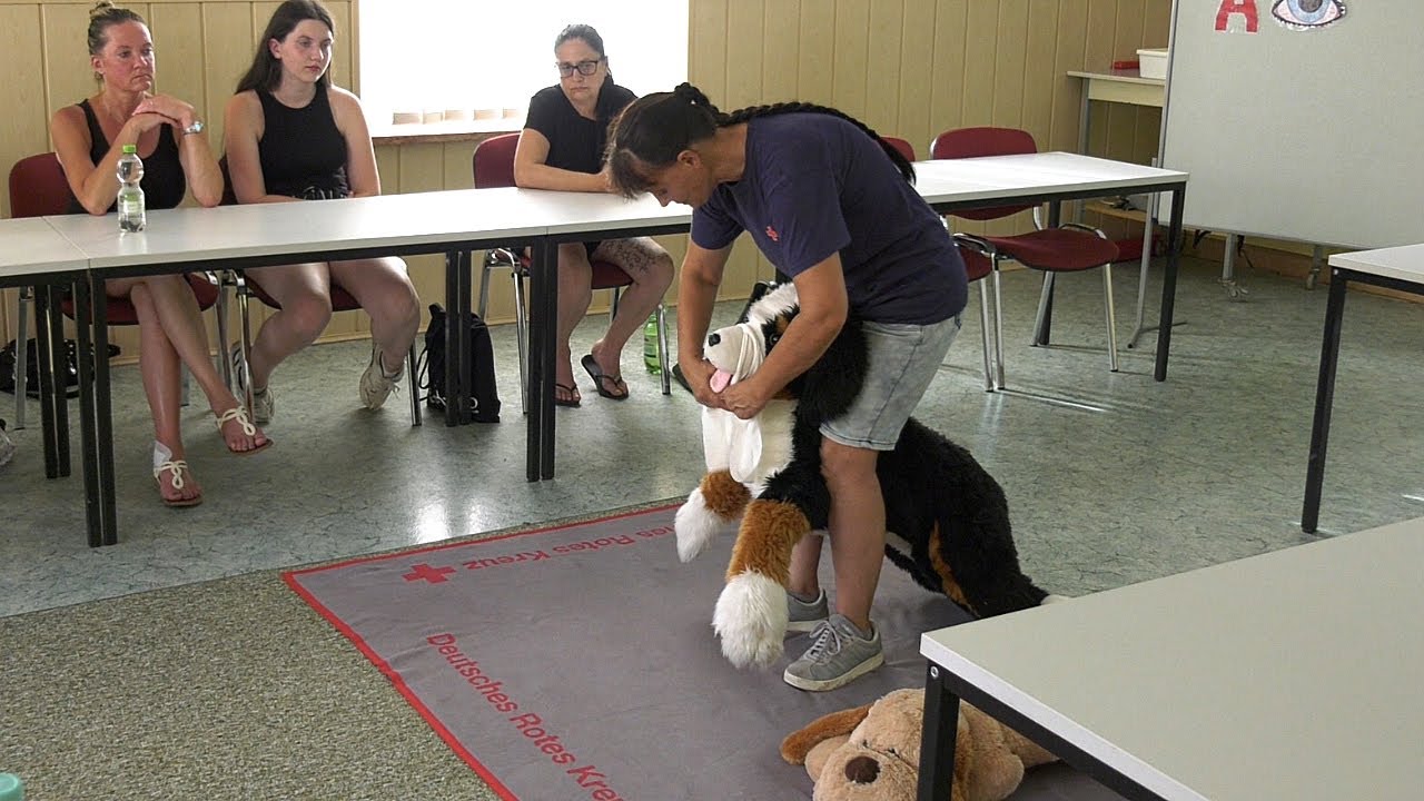 Erste Hilfe am Hund - was Hundebesitzer wissen sollten - YouTube