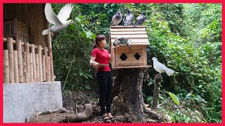 Welcome new members (pigeon) to the farm but the result is... | Free Life - Ep.29
