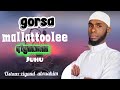 Gorsa Waahee Mallattoolee Qiyaamaa Juhu Ustaaz Ziyaad Sabiscireb Godhaa 