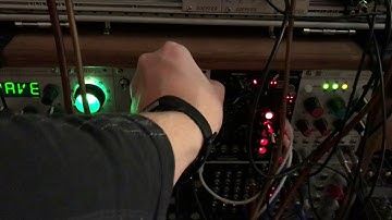 Mutable Instrumemts Peaks - 4 Steps Sequencer