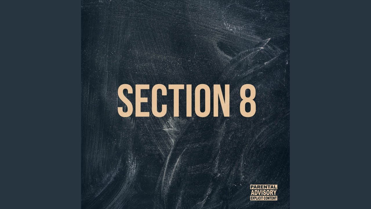 Section 8