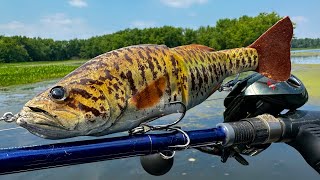Fishing a Bass Lure for River MONSTERS!