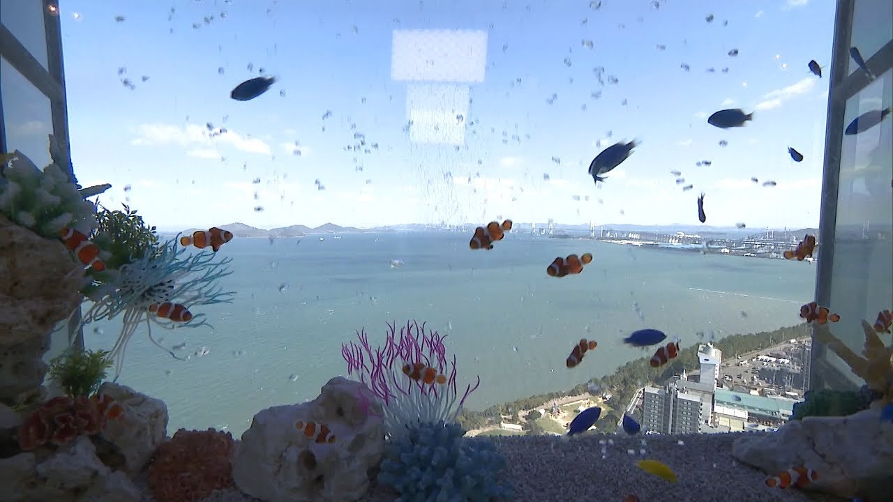 World Tower Renewal: Goldfish Swimming in the Sky? Sky Aquarium on