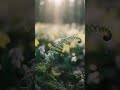 Music Relaxing Peaceful Time 🎵. #music #relaxing #calm #nature
