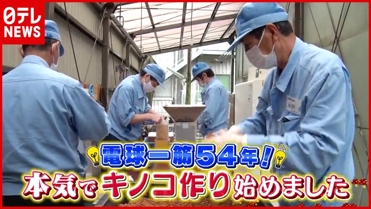 “電球メーカー”が“キノコ作り”始めました！ “幻のキノコ”栽培への挑戦『every.特集』