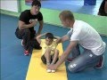 фитнес для детей 3-7 лет