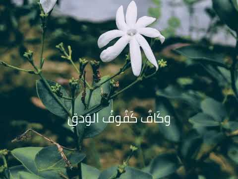 أصعب قصائد امرؤ القيس فهي هي وهي وهي قصيدة امرؤ القيس الصعبه