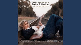 Video thumbnail of "Sophie B. Hawkins - The Night They Drove Old Dixie Down"