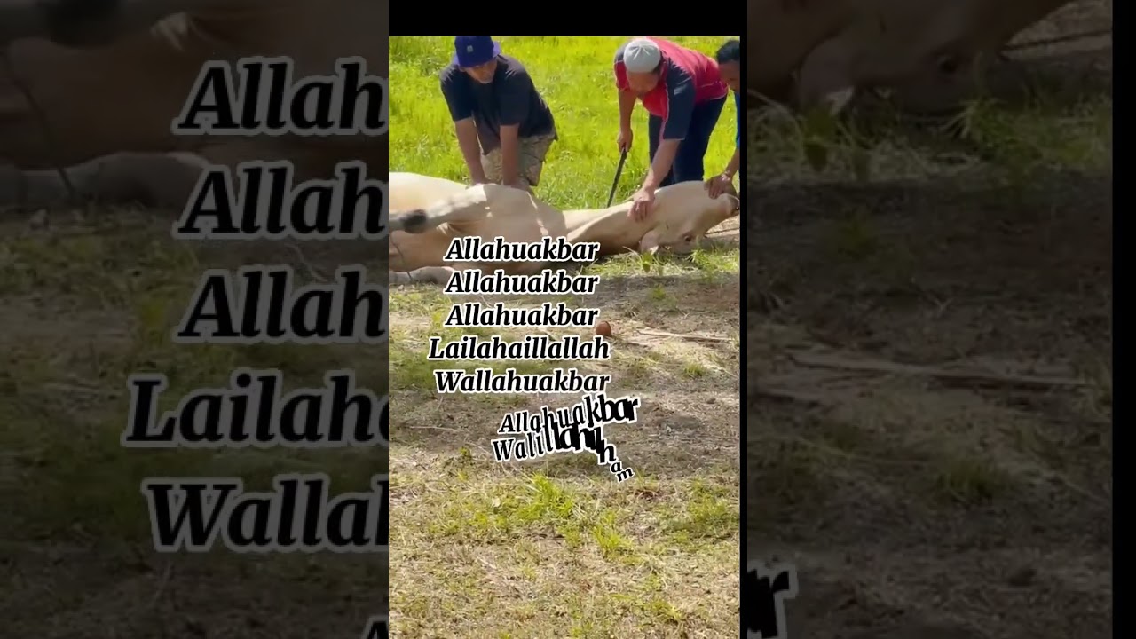 Selamat Hari Raya Haji guys 