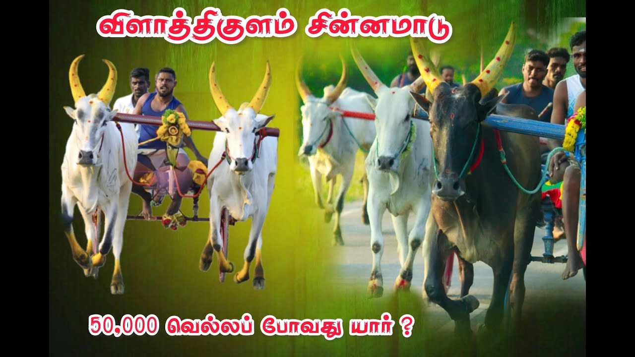 விளாத்திகுளம் சின்னமாடு -2ரேக்ளா பயலுக's broadcast