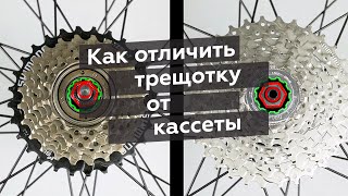 Как отличить трещотку от кассеты велосипеда