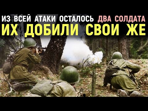 Война день за днем глазами немца. Советские атаки в лоб 1941 года. Мемуары Солдат. Военные Истории.