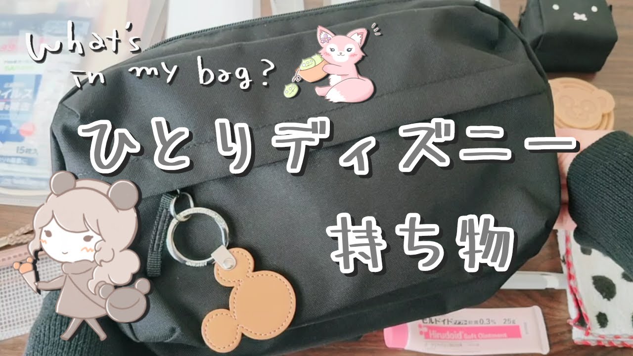 ひとりディズニー持ち物【カバンの中身】