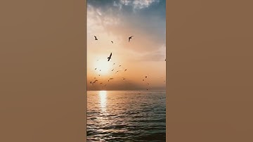 سورة القلم  ❤️ أجمل تلاوة تريح الاعصاب وتهدئ النفس❤️ القارئ سالم الرويلى 🎧❤️